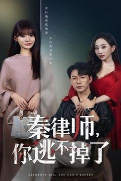 秦律师你逃不掉了