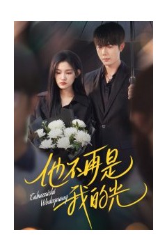 他不再是我的光