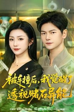 被车撞后，我觉醒了透视赌石异能