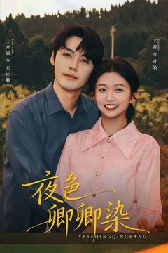 夜色卿卿染