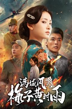 满城风絮梅子黄时雨