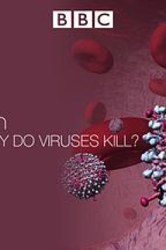 病毒为何致命