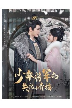 少年将军的失忆小青梅