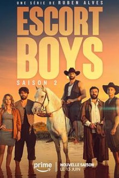 应召男郎第二季