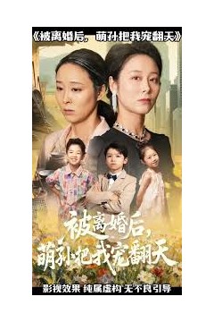 被离婚后萌孙把我宠翻天