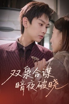 双枭合谋暗夜破晓