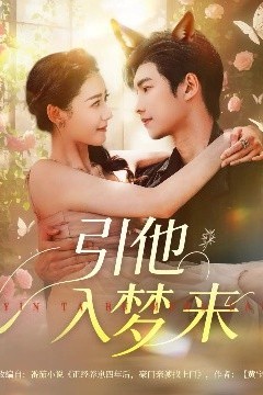 引他入梦来