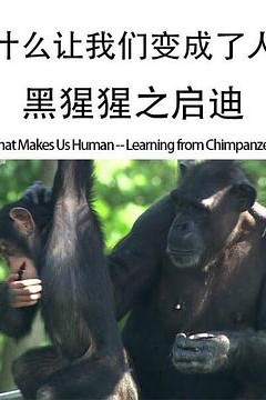 什么让我们变成了人——黑猩猩之启迪