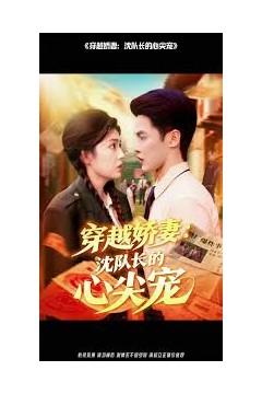 穿越娇妻沈队长的心尖宠