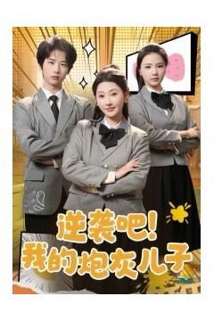 逆袭吧我的炮灰儿子