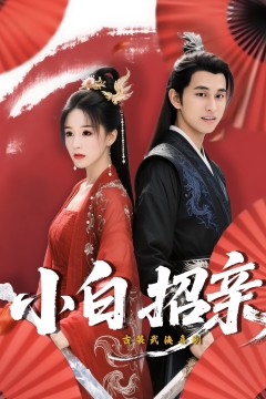 小白招亲