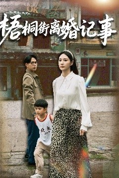 梧桐街离婚记事