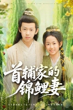 首辅家的锦鲤妻