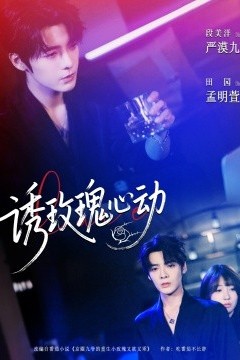 诱玫瑰心动