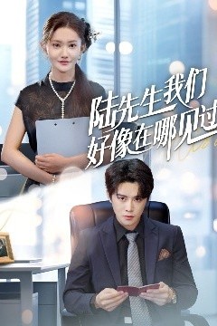 陆先生我们好像在哪见过