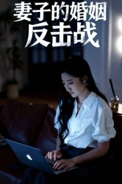 妻子的婚姻反击战