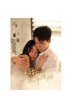 你是我的正午暖阳