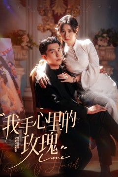 我手心里的玫瑰