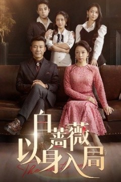 白蔷薇以身入局