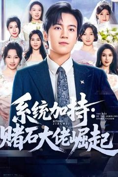 统加持：赌石大佬崛起