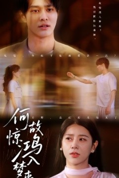 何故惊鸿入梦来