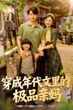 穿成年代文里的极品亲妈