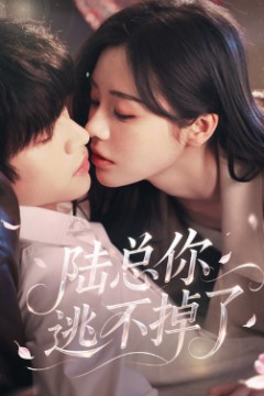 陆总你逃不掉了＆爱意难逃