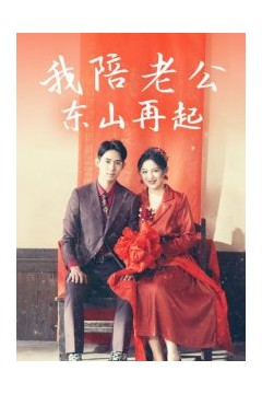 我陪老公东山再起