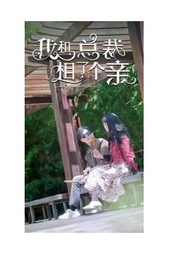 我和总裁相了个亲