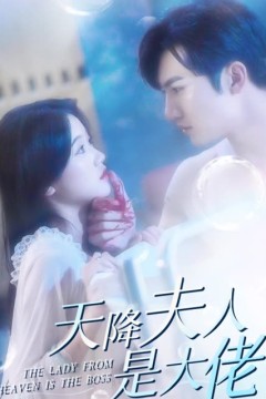 天降夫人是大佬