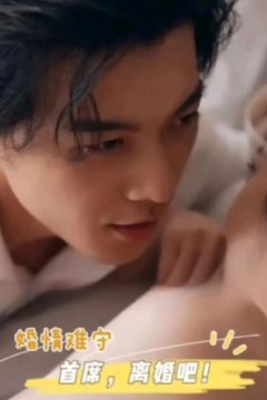 婚情难守：首席，离婚吧