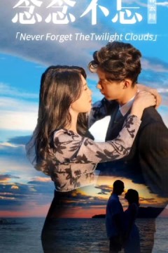 念念不忘暮云间