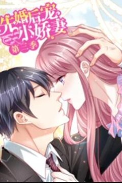 先婚后宠小娇妻第三季