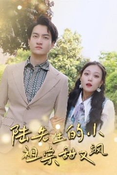 陆先生的小祖宗甜又飒落魄千金的逆袭恋曲