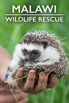 马拉维野生动物救援