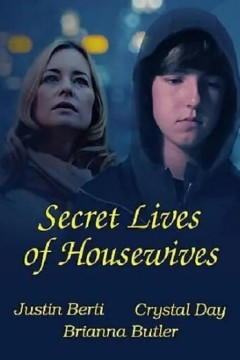 家庭主妇的秘密生活