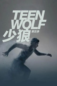 少狼第五季