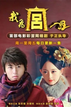 我为宫狂第一季