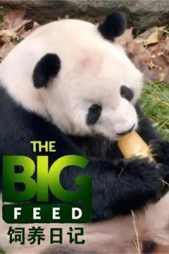 饲养日记第一季