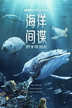 海洋间谍