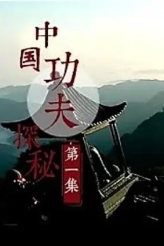 中国功夫探秘