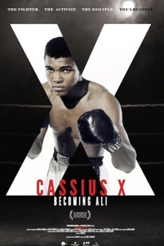 卡修斯 X：成为阿里