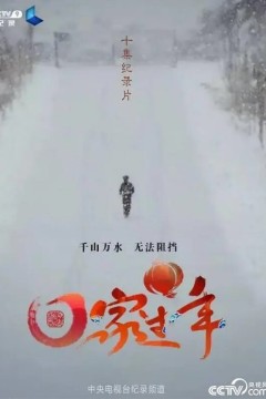 回家过年第一季