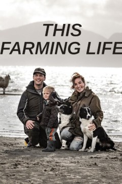 农耕生活第四季