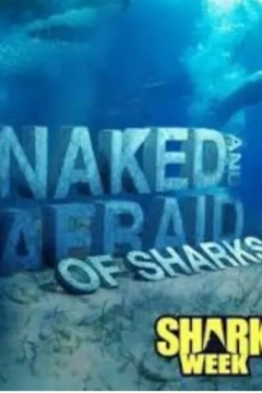 原始生活21天鲨鱼特集