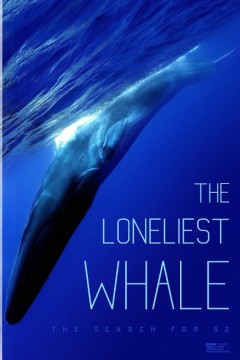 最孤独的鲸：寻找52