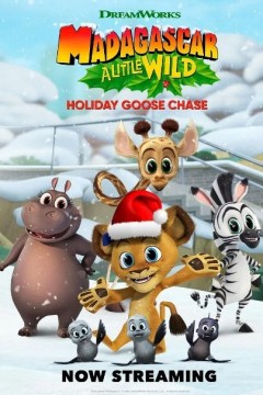 马达加斯加：假日大鹅追逐之旅
