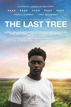 最后一棵树
