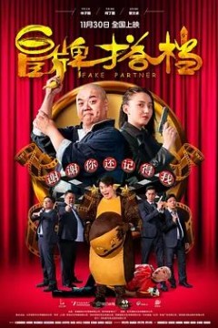 冒牌搭档2018