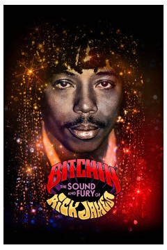 《贱人：里克·詹姆斯的喧嚣与愤怒》